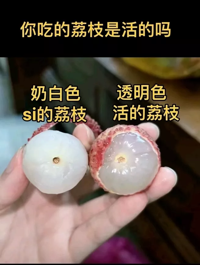 鲜荔枝果肉透明,“死荔枝”是乳白色?果农说......