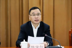 上海副市长陈宇剑被查 P2P旧案再受关注