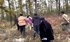 17岁少年在大兴安岭林区走失，被困8天7夜后获救