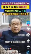 判刑轻了？南博徐湖平案 判决结果出炉