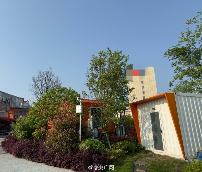1700万项目内定中标价 开标现场5家公司4家是陪标