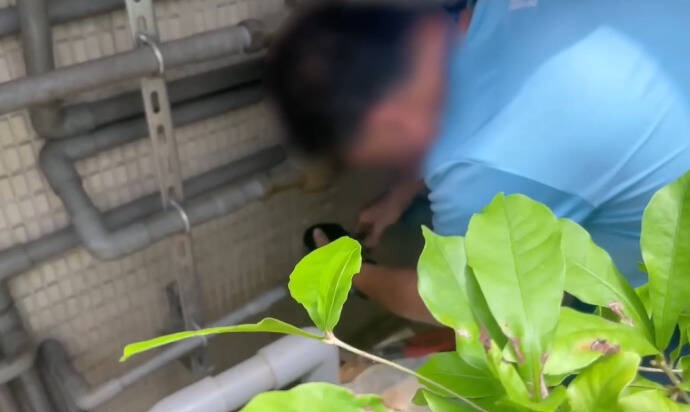台水人员于现场执行断水断电。(记者刘庆侯翻摄) 台水人员于现场执行断水断电。(记者刘庆侯翻摄)